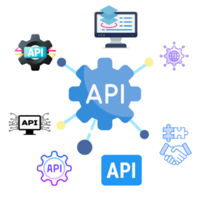 Custom API Integration