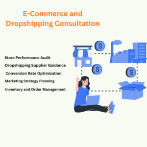 E-Commerce and Dropshipping Consultation